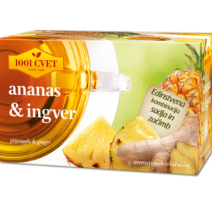 Ananas in ingver 40gr