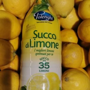 NARAVNI LIMONIN SOK 100% 1L