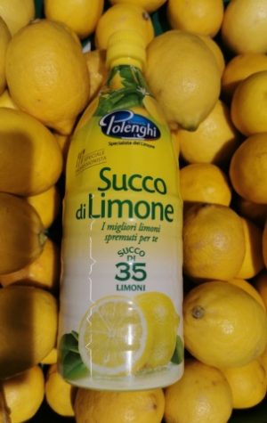 NARAVNI LIMONIN SOK 100% 1L