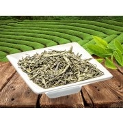 SENCHA