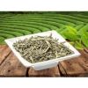 SENCHA